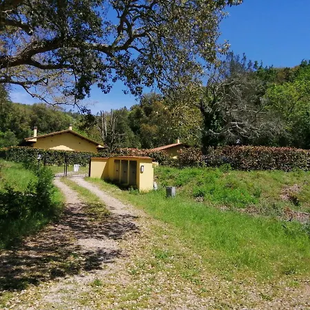 Le Sughere Holiday home Massa Marittima